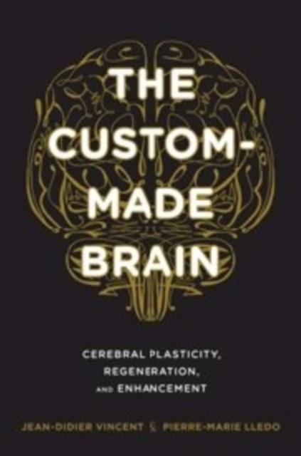 THE CUSTOM-MADE BRAIN : CEREBRAL PLASTICITY, REGENERATION, AND ENHANCEMENT | 9780231164504 |  JEAN-DIDIER VINCENT 