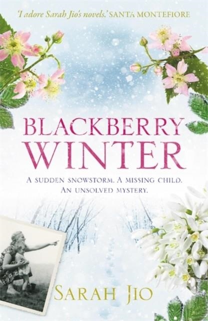 BLACKBERRY WINTER | 9781409190776 | SARAH JIO