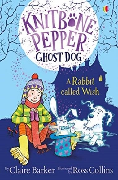 A RABBIT CALLED WISH | 9781474953535 | CLAIRE BARKER