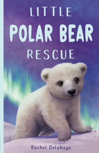 LITTLE POLAR BEAR RESCUE 06 | 9781788951869 | RACHEL DELAHAYE 