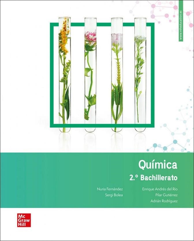 QUIMICA 2º BACHILLERATO | 9788448619565