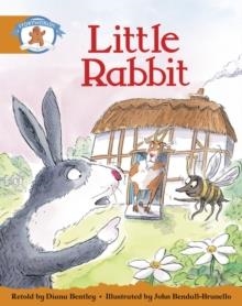 STAGE 4 BLUE BOOK BAND:LITTLE RABBIT  | 9780435140502