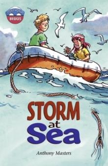 STAGE 11:STORM AT SEA  | 9780435143985