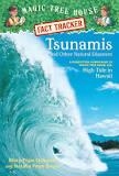 TSUNAMIS AND OTHER NATURAL DISASTERS | 9780375832215 | NATALIE POPE BOYCE