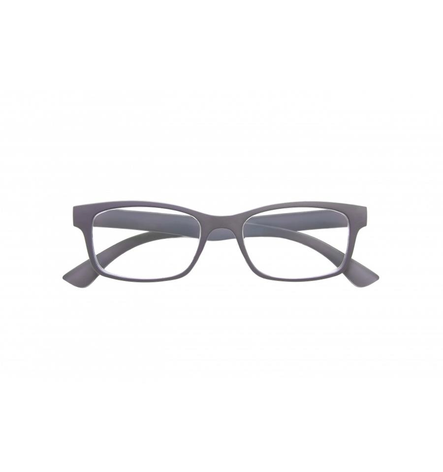 GAFAS 7203 SOFT GREY 1.25 | 5400323720312