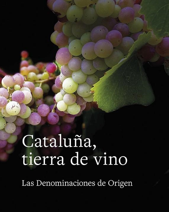 CATALUÑA TIERRA DE VINOS | 9788416445622 | TOLOSA PLANET, LLUIS / FRANC·S MARTORELL, 