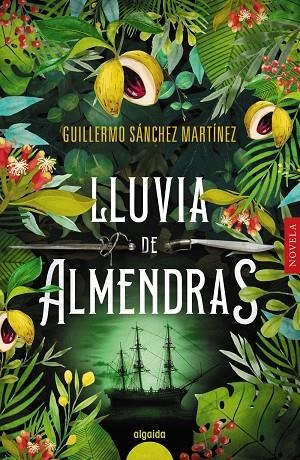 LLUVIA DE ALMENDRAS | 9788491895138