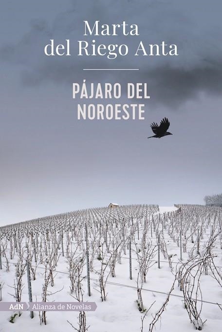 PÁJARO DEL NOROESTE (ADN) | 9788413620558