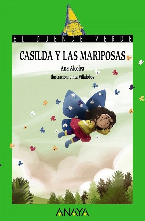 CASILDA Y LAS MARIPOSAS | 9788469885697