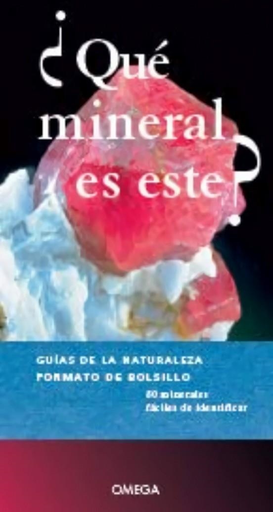 ¿QUE MINERAL ES ESTE? | 9788428217101 | AA,VV