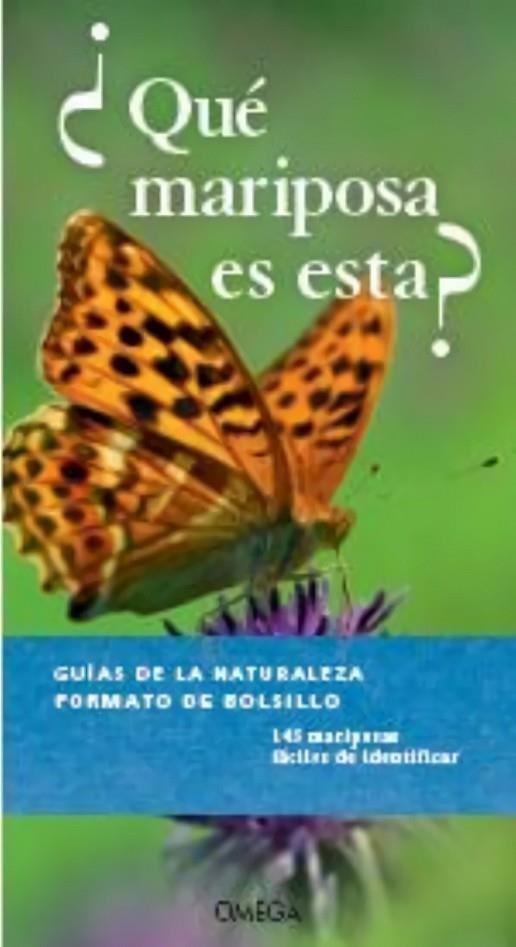 ¿QUE MARIPOSA ES ESTA? | 9788428217088 | AA,VV