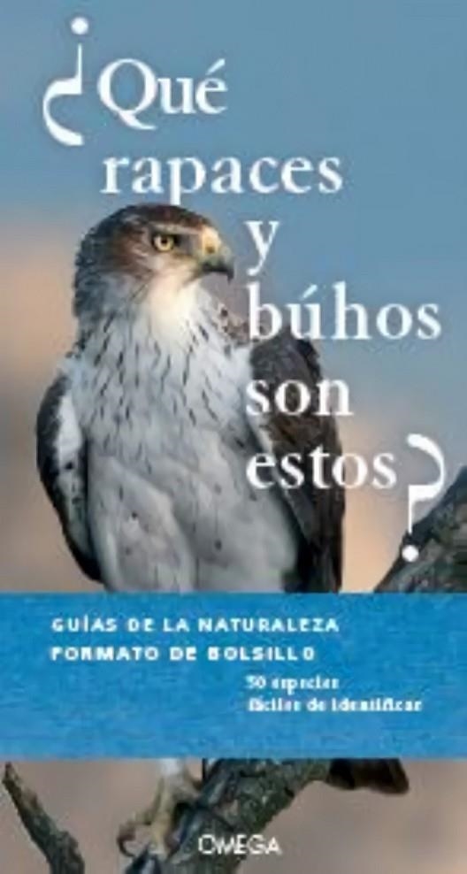 ¿QUE RAPACES Y BUHOS SON ESTOS ? | 9788428217095 | AA,VV