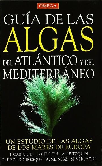 GUIA ALGAS ATLANTICO Y MEDITERRANEO | 9788428214476 | AA,VV