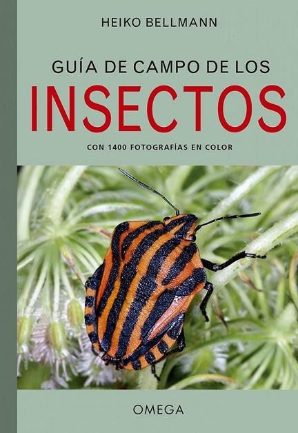 GUIA DE CAMPO DE LOS INSECTOS | 9788428217156 | BELLMANN,HEIKO