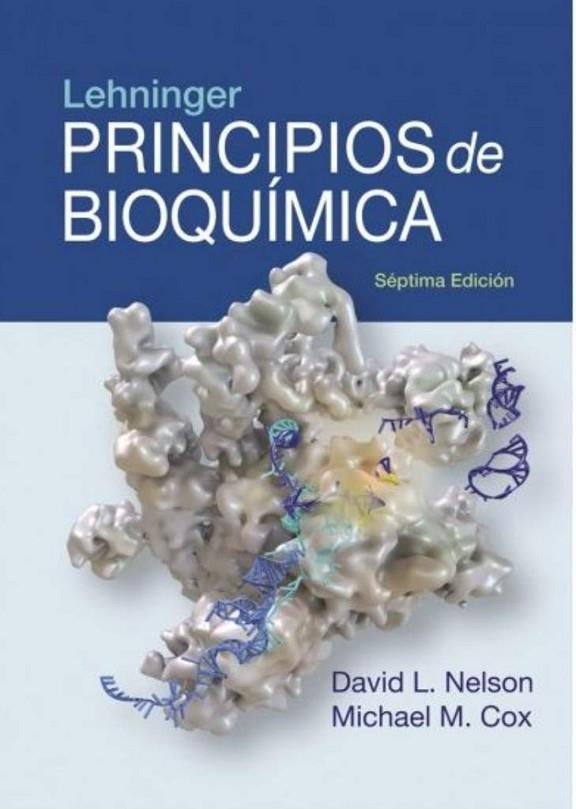 PRINCIPIOS DE BIOQUIMICA LEHNINGER,7/ED. | 9788428216678 | NELSON,DAVID L