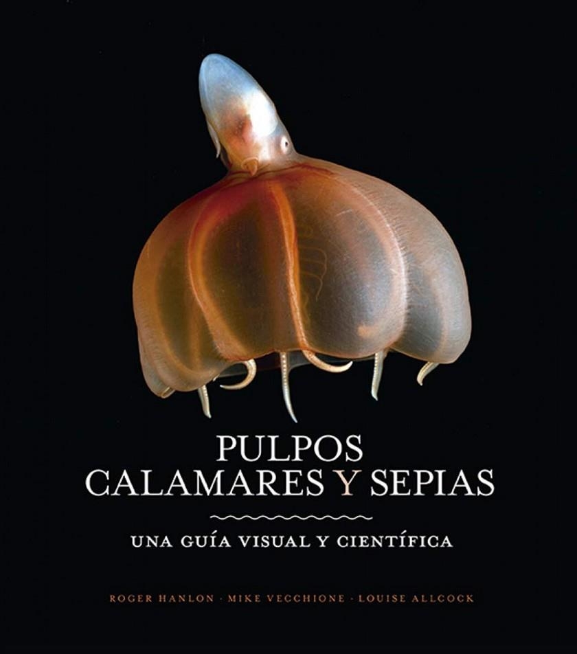 PULPOS, CALAMARES Y SEPIAS | 9788428217217 | HANLON,ROGER