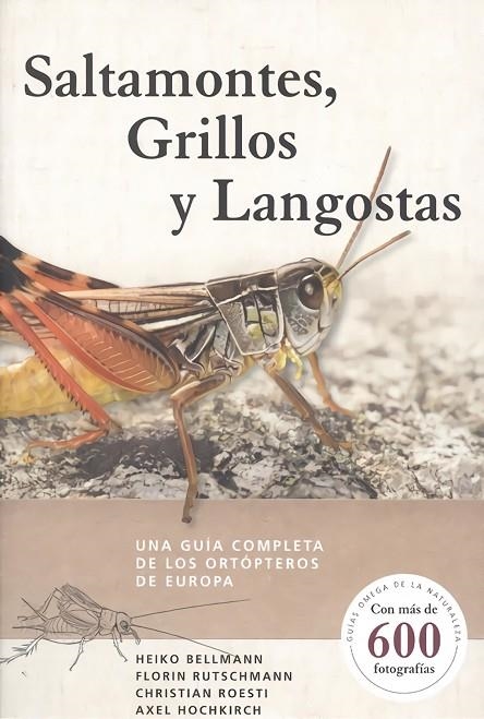 SALTAMONTES, GRILLOS Y LANGOSTAS | 9788428217279 | BELLMANN,HEIKO