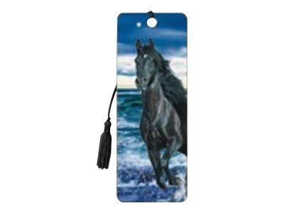 BOOK MARKS : BLACK HORSE BEACH | 0634438018308