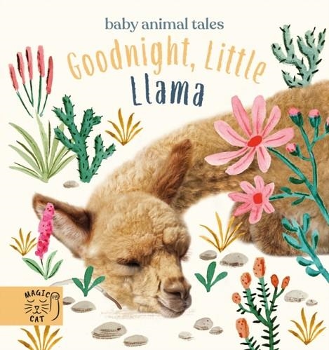 GOODNIGHT, LITTLE LLAMA | 9781913520281 | AMANDA WOOD