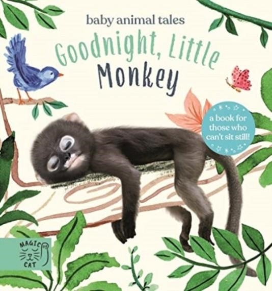 GOODNIGHT, LITTLE MONKEY | 9781913520496 | AMANDA WOOD