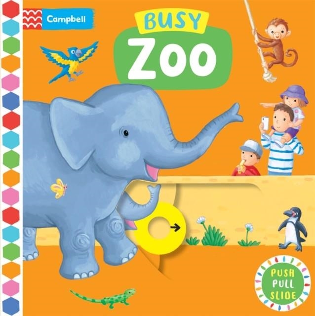 BUSY ZOO | 9781529084689 | REBECCA FINN