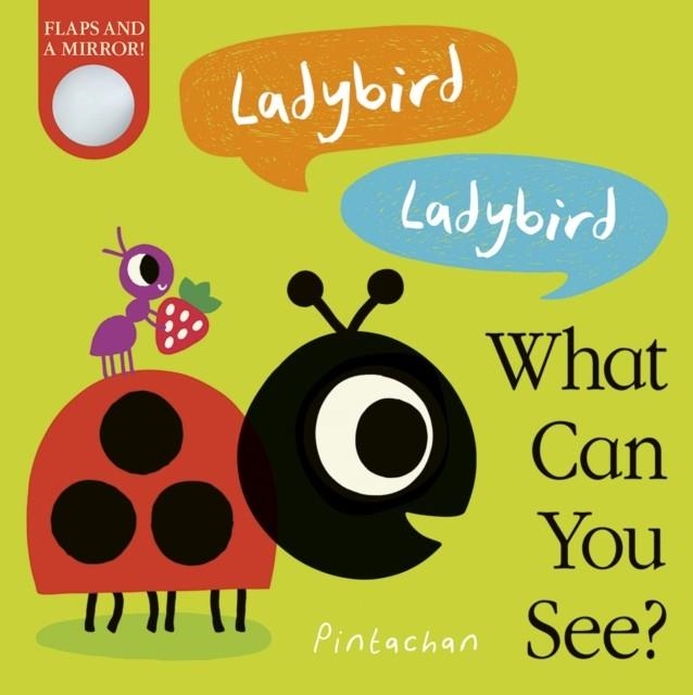 LADYBIRD! LADYBIRD! WHAT CAN YOU SEE? | 9781788818353 | AMELIA HEPWORTH