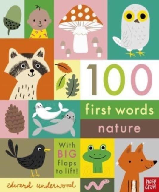 100 FIRST WORDS: NATURE | 9781788009980 | NOSY CROW LTD