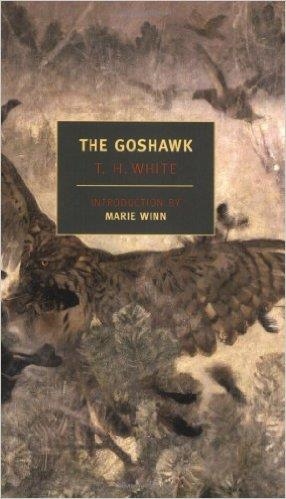 GOSHAWK, THE | 9781590172490 | WHITE T.H.