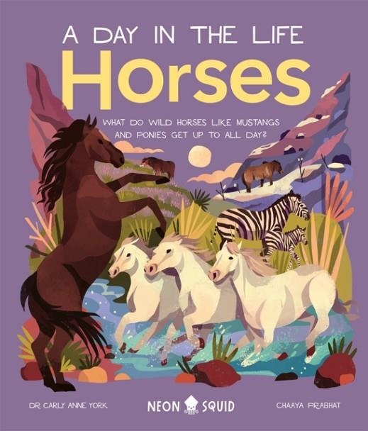 HORSES: A DAY IN THE LIFE | 9781838992309 | LORETTA SCHAUER