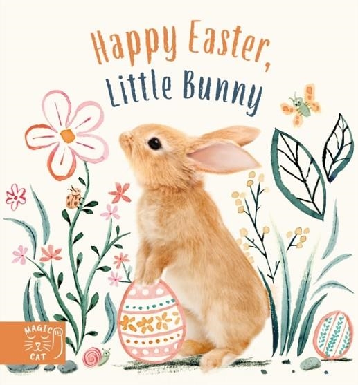 HAPPY EASTER LITTLE BUNNY | 9781913520953 | AMANDA WOOD