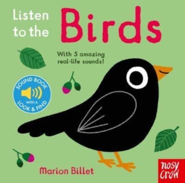 LISTEN TO THE BIRDS | 9781839947346 | MARION BILLET