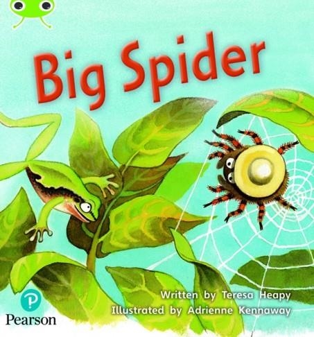 BIG SPIDER | 9781292395388