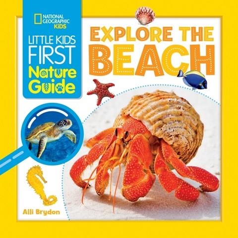 LITTLE KIDS FIRST NATURE GUIDE: EXPLORE THE BEACH | 9781426373688 | ALLI BRYDON