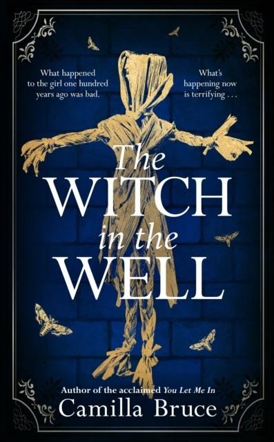 THE WITCH IN THE WELL | 9781787633414 | CAMILLA BRUCA