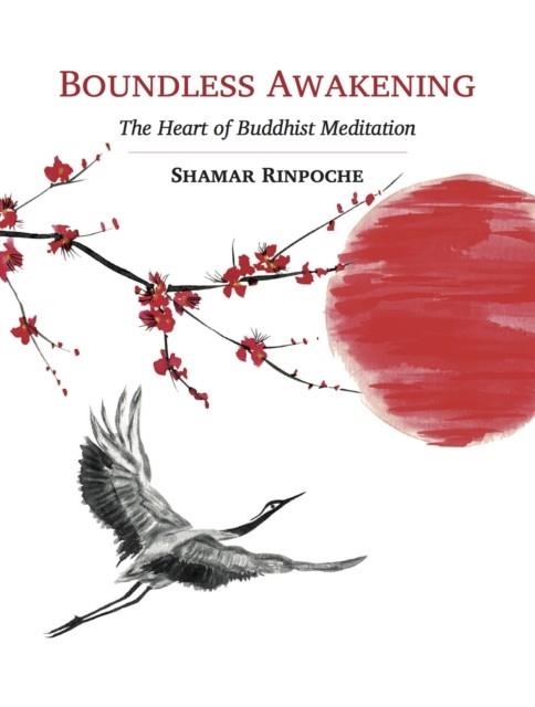 BOUNDLESS AWAKENING : THE HEART OF BUDDHIST MEDITATION | 9782360170173 | SHAMAR RINPOCHE