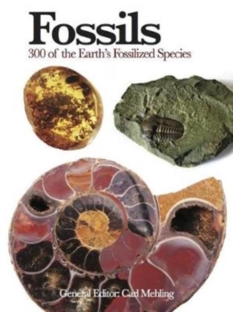 FOSSILS : 300 OF THE EARTH'S FOSSILIZED SPECIES | 9781782742586 | CARL MEHLING