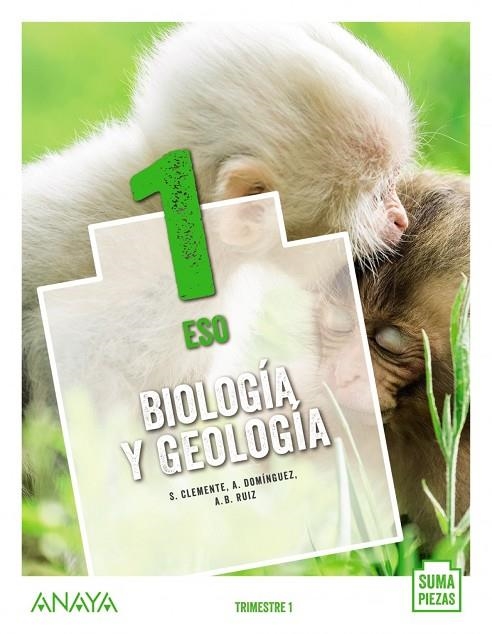 BIOLOGÍA Y GEOLOGÍA 1. | 9788469875056