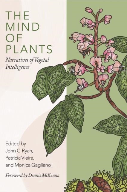 THE MIND OF PLANTS : NARRATIVES OF VEGETAL INTELLIGENCE | 9780907791874 | DENNIS MCKENNA