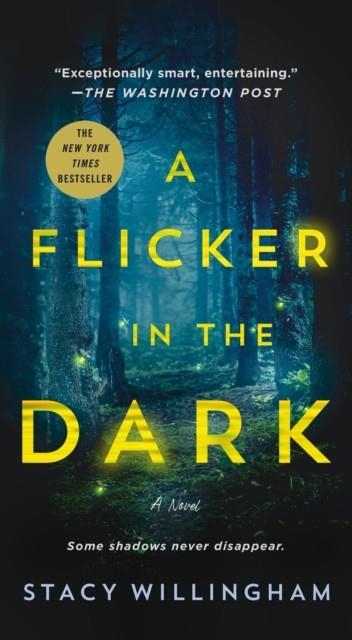 A FLICKER IN THE DARK | 9781250896445 | STACY WILLINGHAM