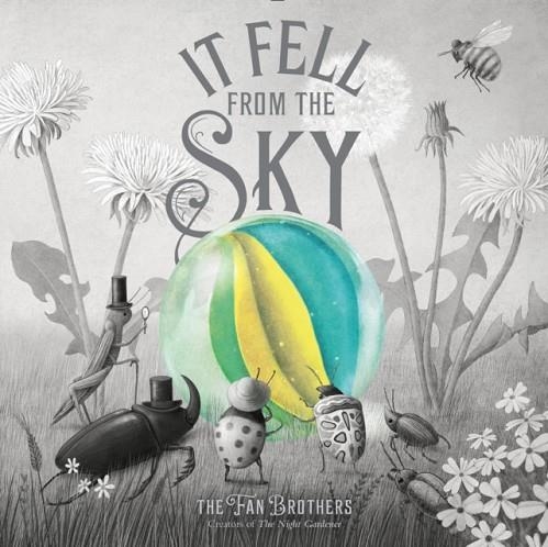 IT FELL FROM THE SKY | 9781534457621