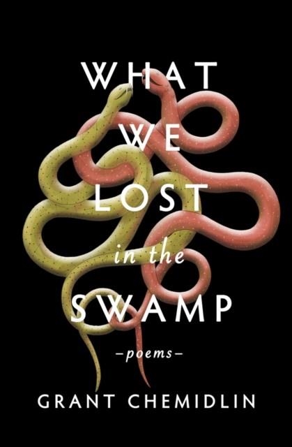 WHAT WE LOST IN THE SWAMP | 9781771682893 | GRANT CHEMIDLIN