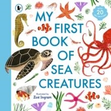 SEA CREATURES | 9781529504088 | ZOE INGRAM