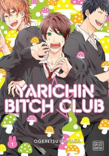 YARICHIN BITCH CLUB, VOL. 1 | 9781974709281 | OGERETSU TANAKA