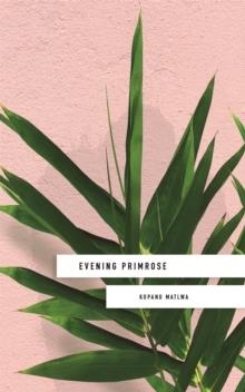 EVENING PRIMROSE | 9781473662285 | KOPANO MATLWA