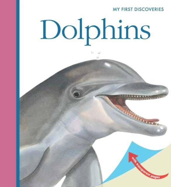 DOLPHINS | 9781851034680