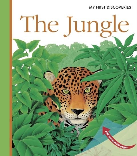 JUNGLE | 9781851033997