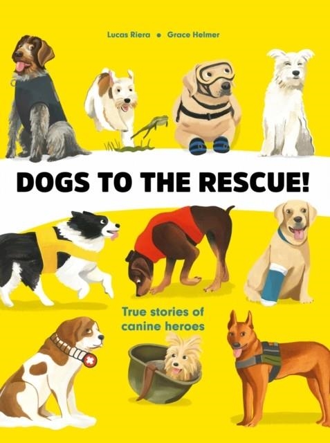 DOGS TO THE RESCUE (HB) | 9781739099015 | LUCAS RIERA