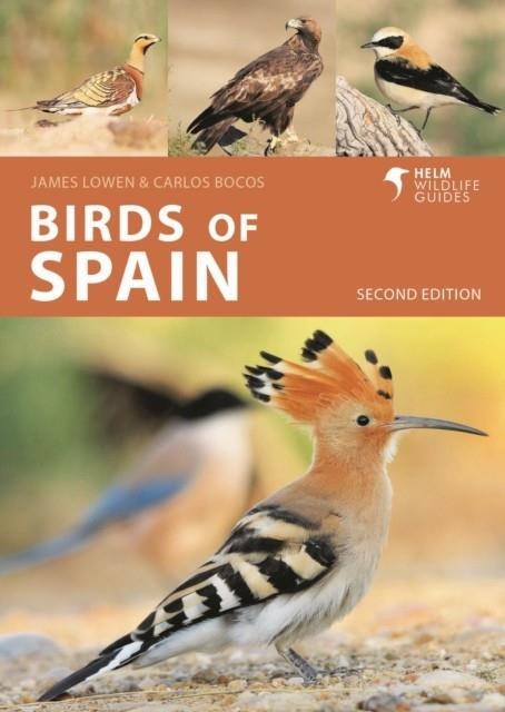 BIRDS OF SPAIN | 9781399405010 | JAMES LOWEN