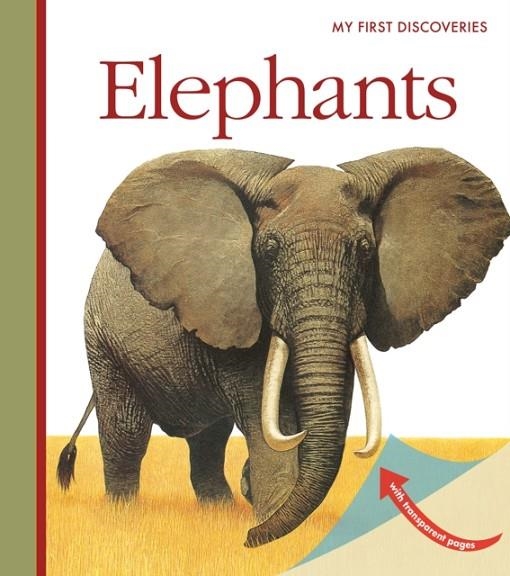 ELEPHANTS | 9781851034734