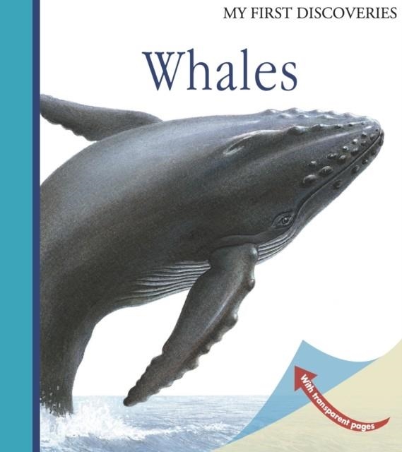 WHALES | 9781851034253